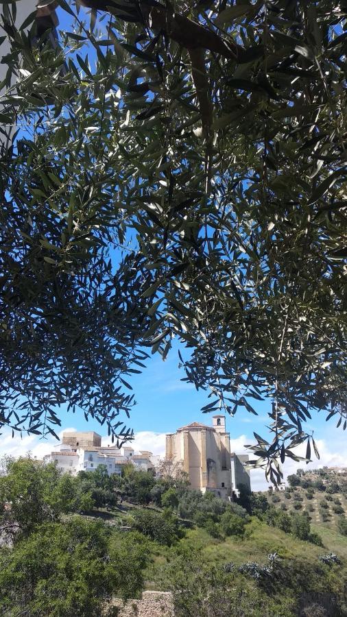Apartamento El Carmen Setenil De Las Bodegas Dış mekan fotoğraf